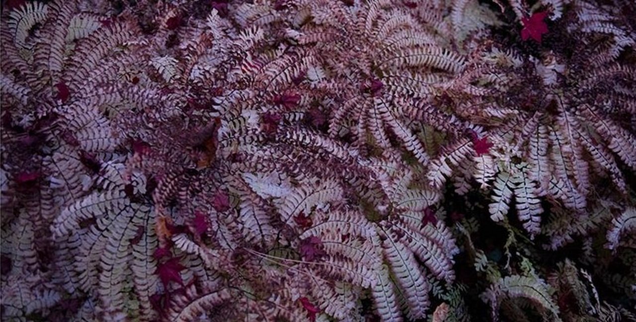 schulung - martin-grossen.ch