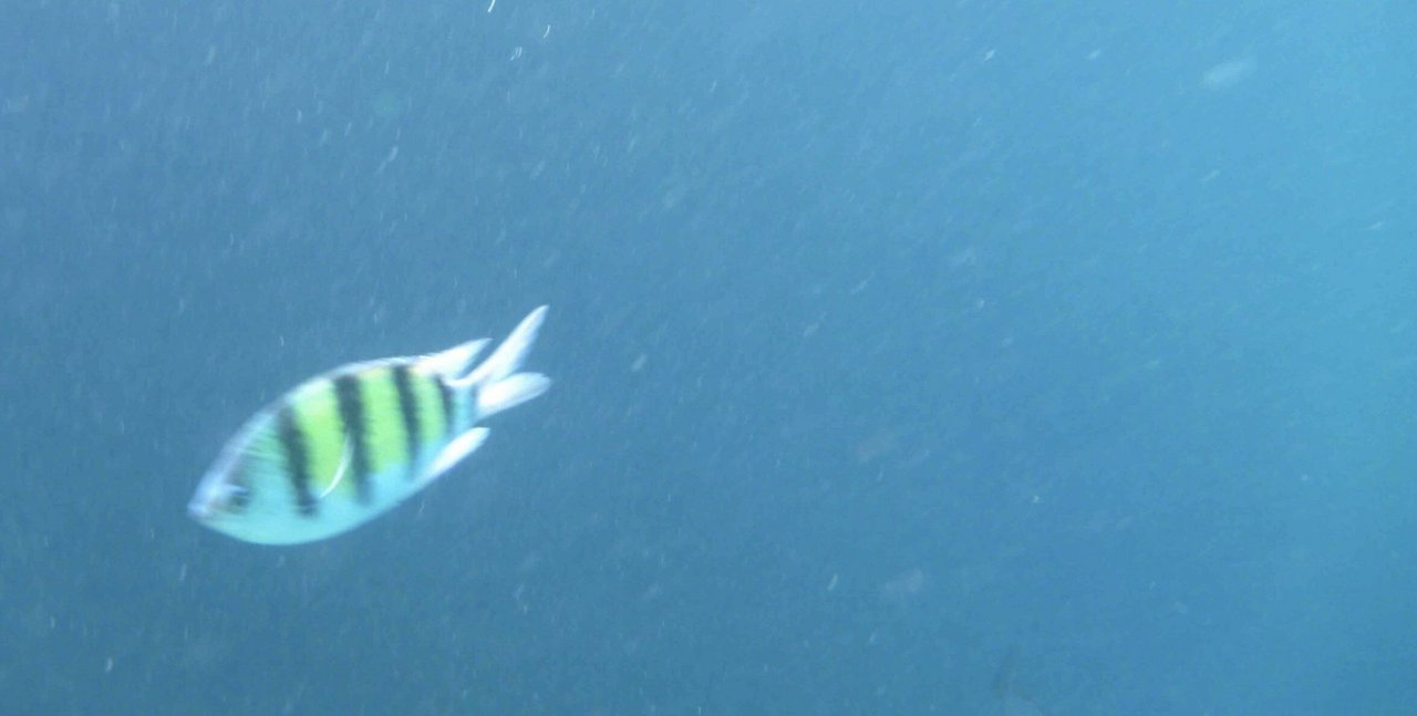 kontakt - martin-grossen.ch